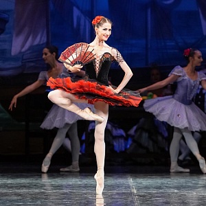 Балет «Дон Кихот»