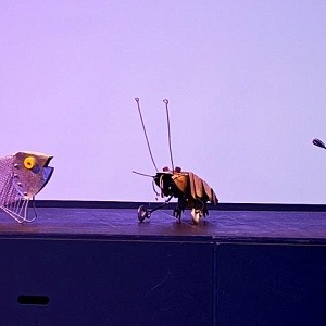 Проект «Театр на экране». Видеопоказ спектакля «Ужин дураков»